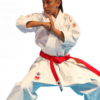 Maria Fernanda Parra Silva - Kata Femenino Junior - Panamericano Chile, Colombia y Perú (JKA) - Medallista nacional WKF